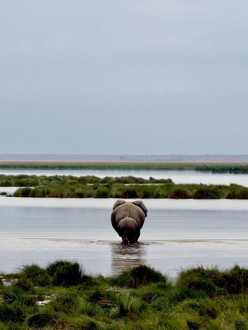 Tsavo Est e Amboseli